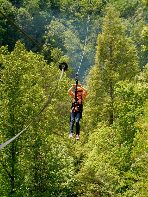 Coming In For A Landing