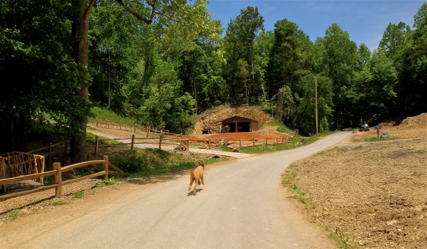 Drive up the Mountain