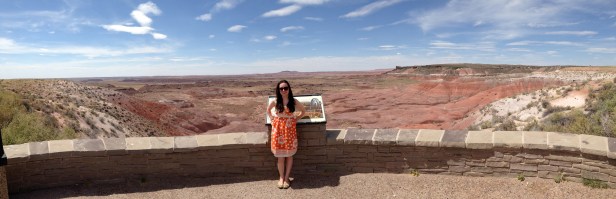 Painted Desert Pose