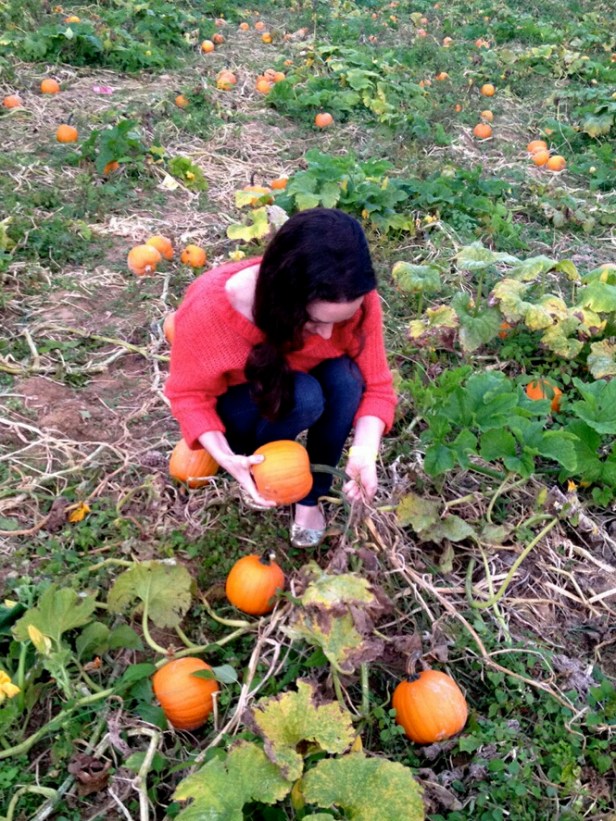 Picking a Pumpkin