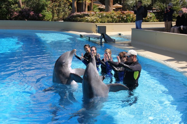 ELLIS 03 21 2014 - 030