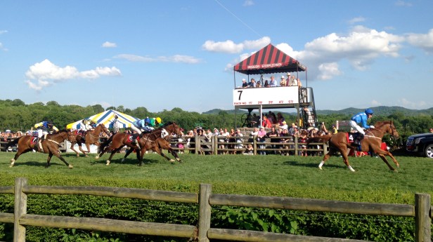 Steeplechase Finish Line