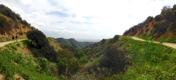 Hollyrdige Trail View