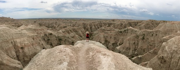 Badlands Panorama