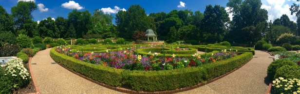 Missouri Botanical Garden Boxwoods