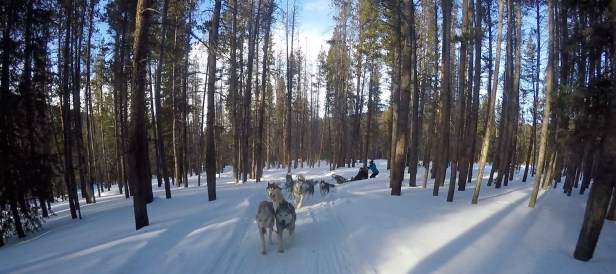 frame-07-01-2017-03-04-30