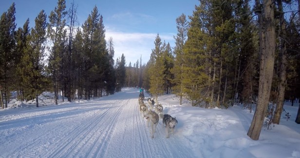 frame-07-01-2017-03-05-31