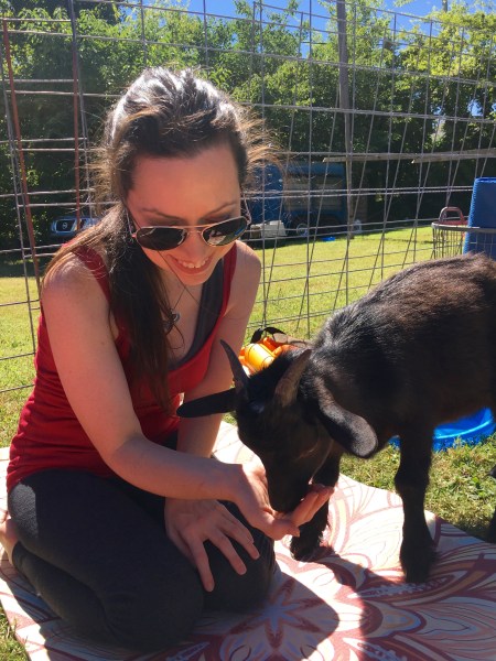 Goat Yoga