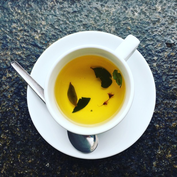 coca tea coca leaf coca